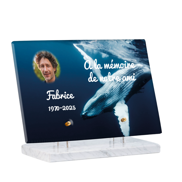 Image plaque