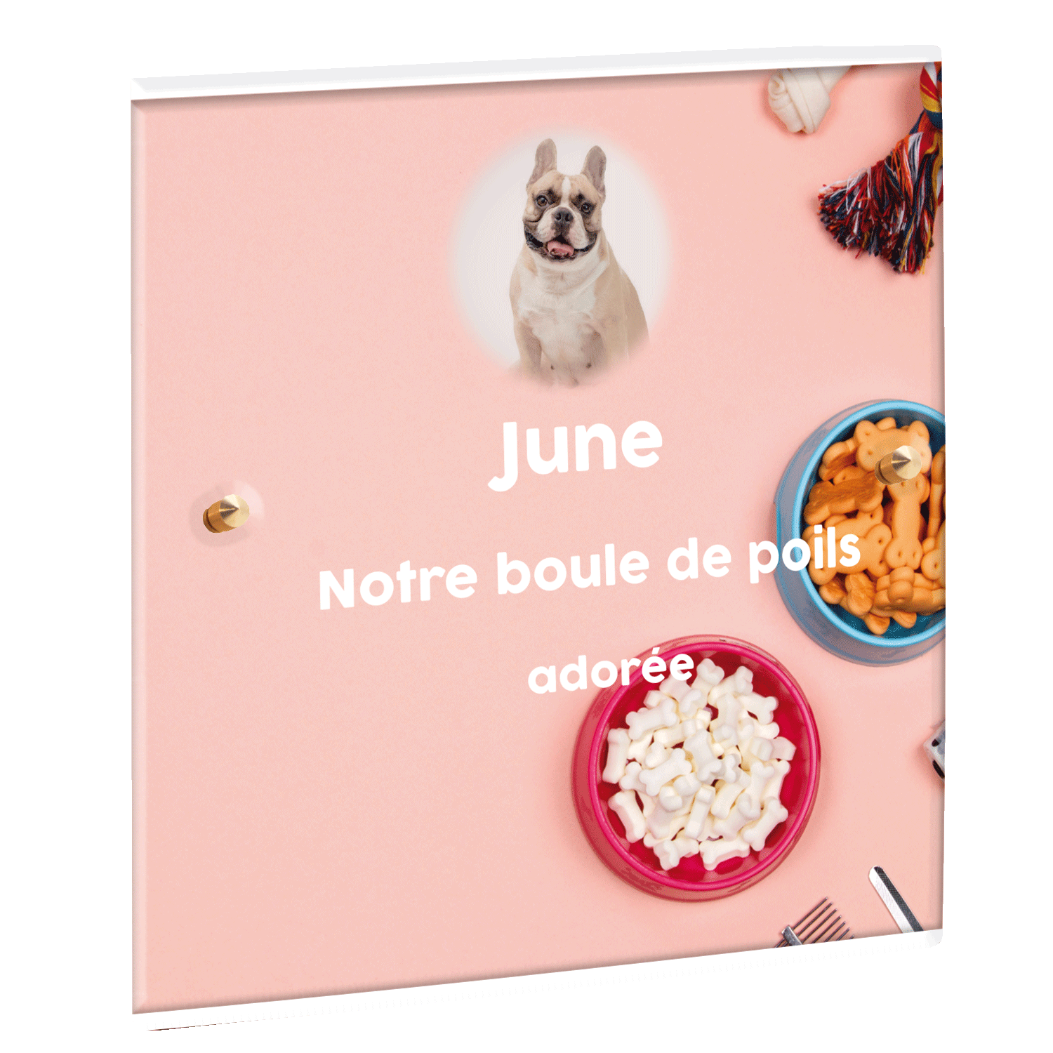 Plaque funéraire - Accessoires pour chien