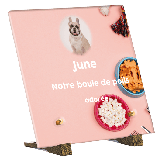 Plaque funéraire - Accessoires pour chien