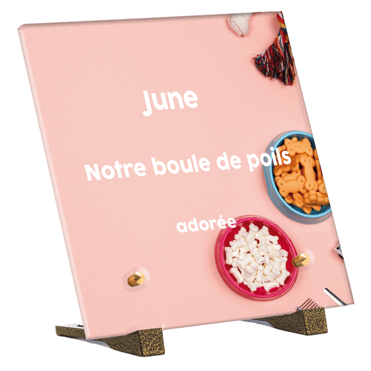 Plaque funéraire - Accessoires pour chien