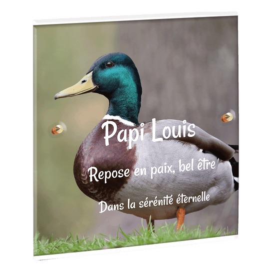 Plaque funéraire - Canard