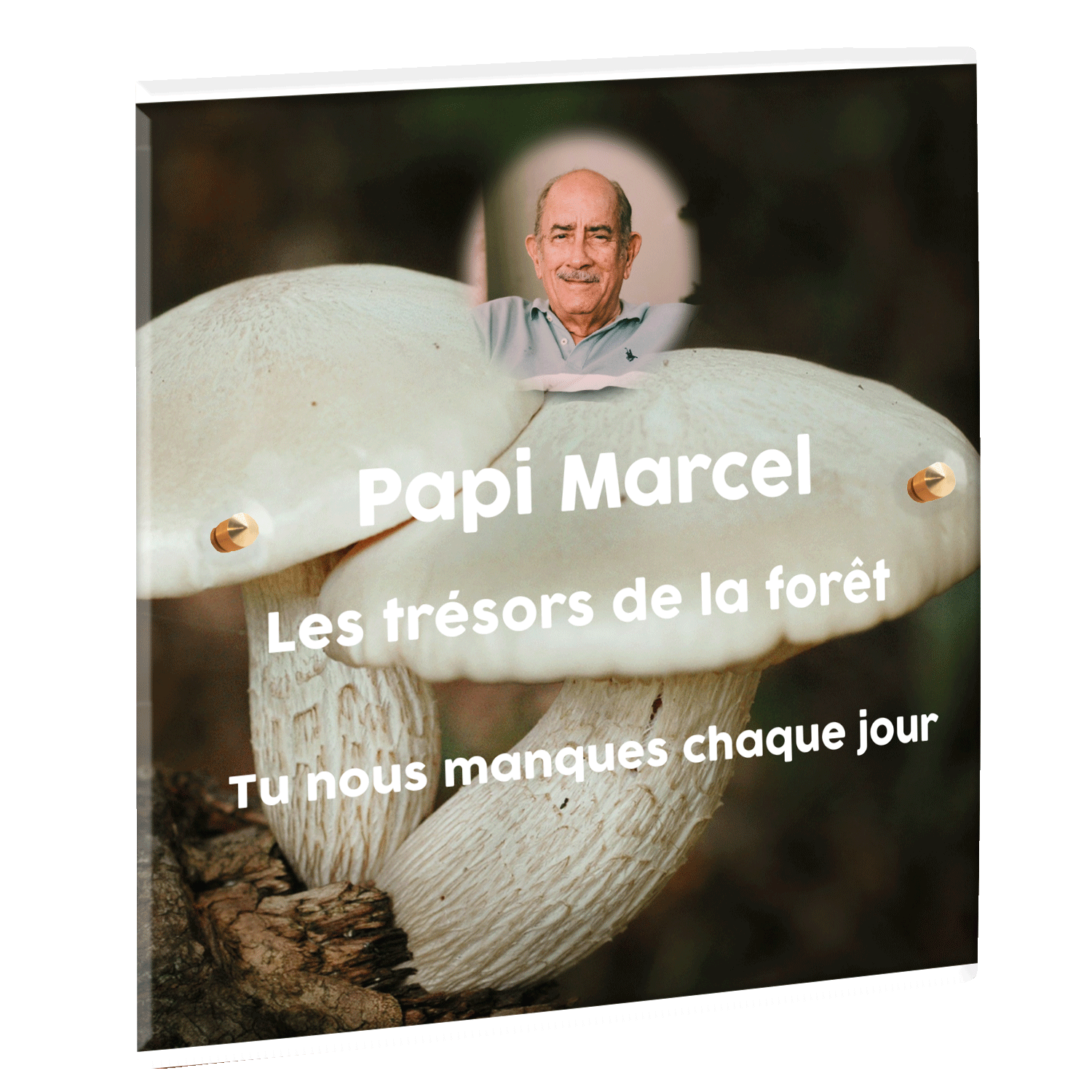 Plaque funéraire - 2 champignons