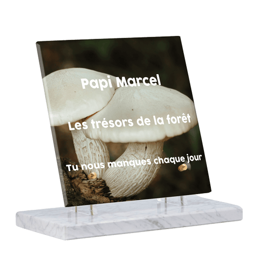 Plaque funéraire - 2 champignons