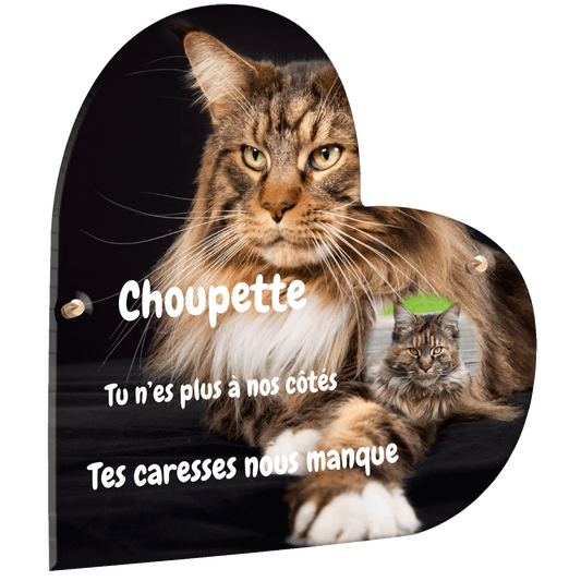 Plaque funéraire - Maine Coon