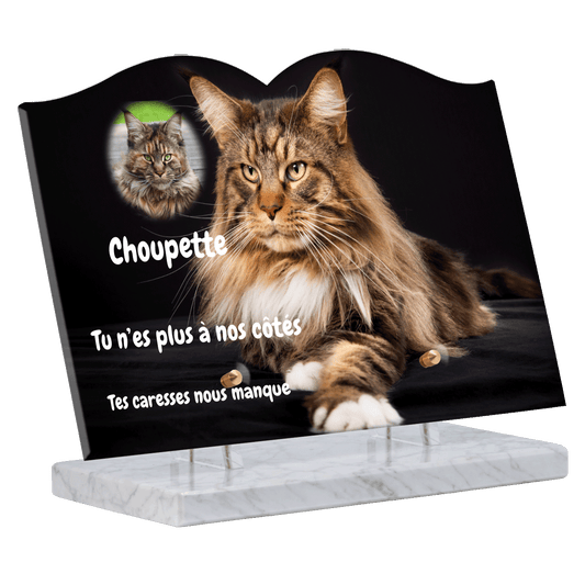Plaque funéraire - Maine Coon