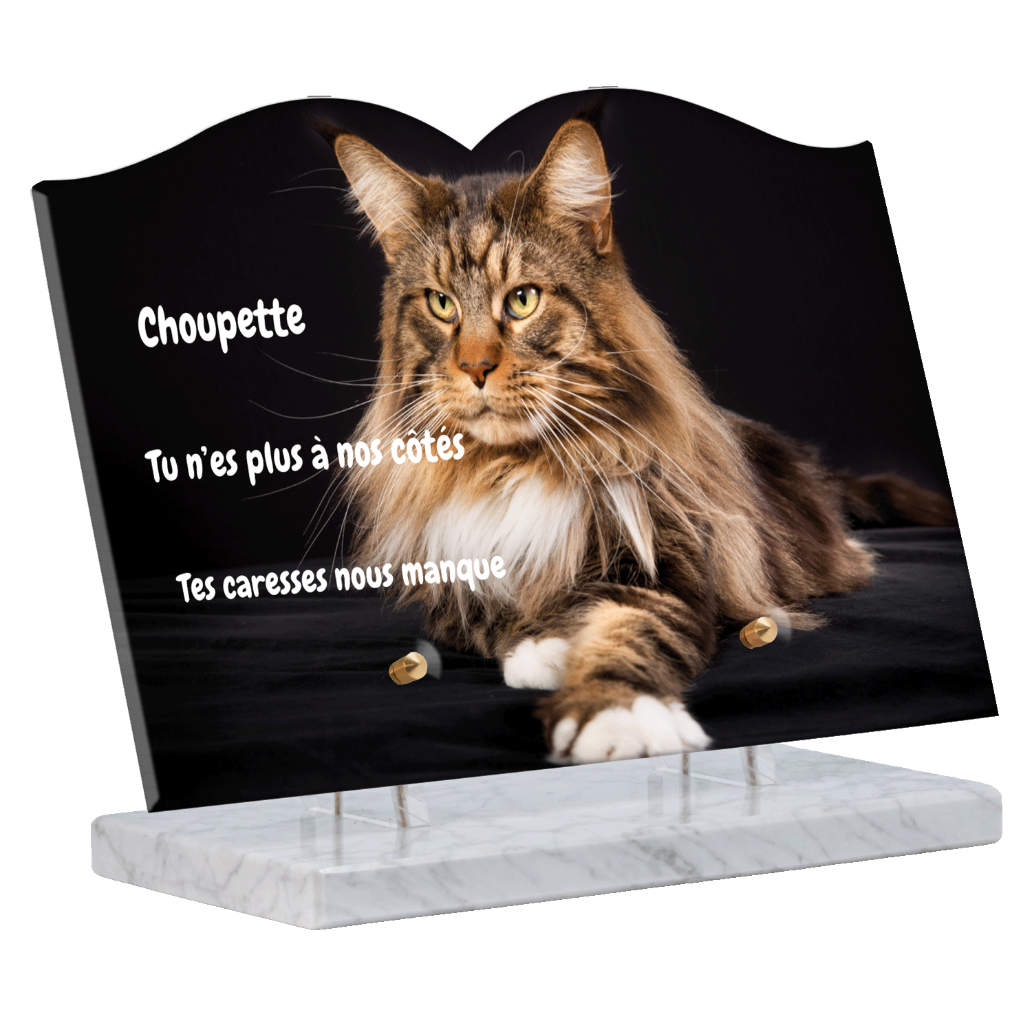 Plaque funéraire - Maine Coon