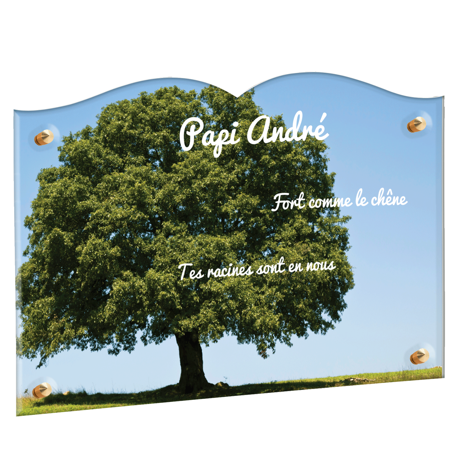 Plaque funéraire - Chêne
