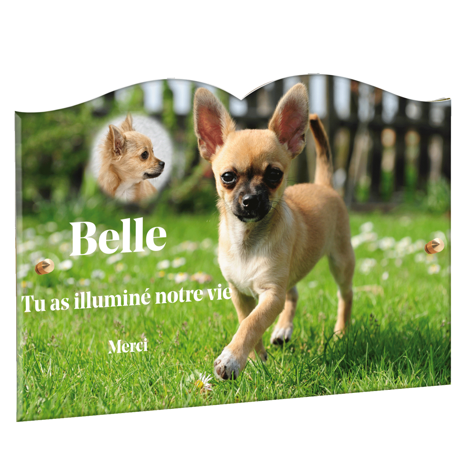 Plaque funéraire - Chihuahua