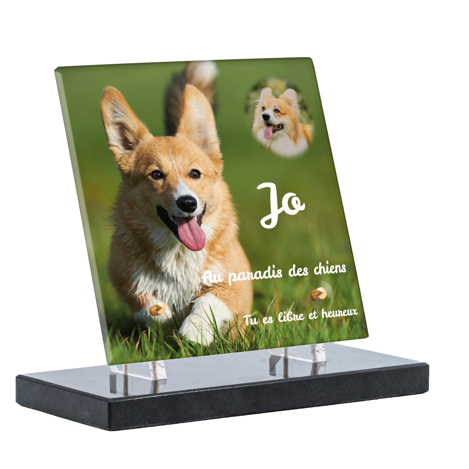 Plaque funéraire - Corgi