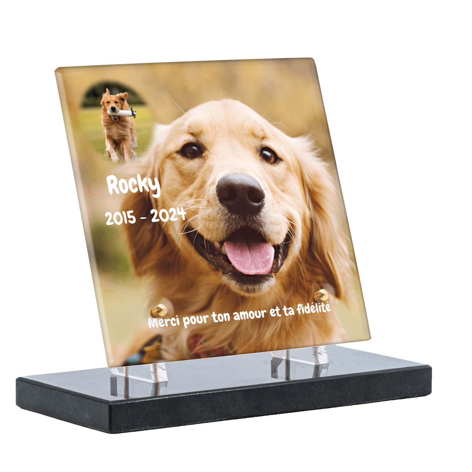 Plaque funéraire - Golden Retriever