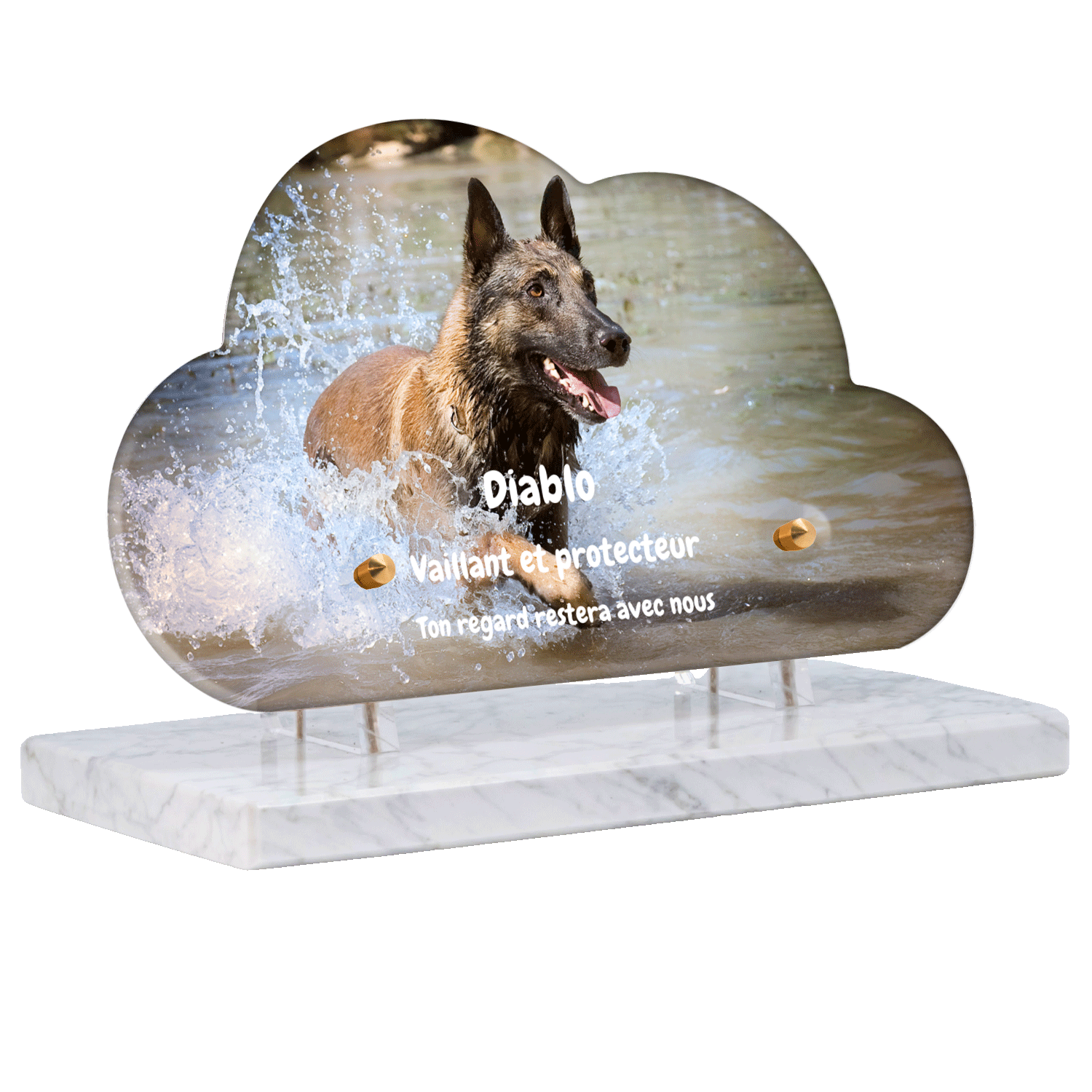 Plaque funéraire - Malinois