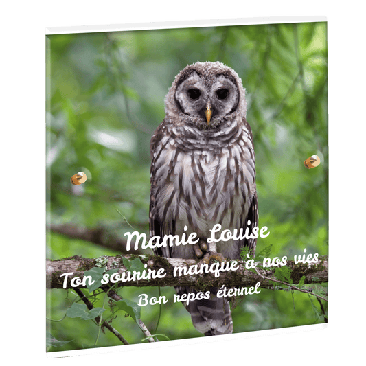 Plaque funéraire - Chouette sur une branche