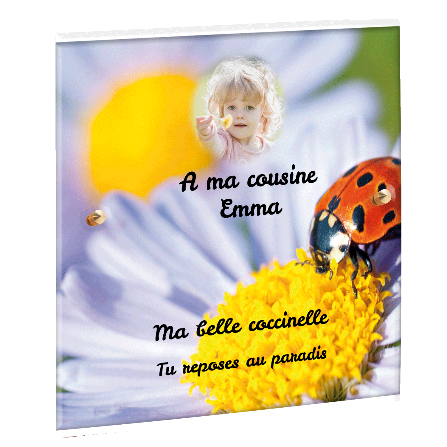 Plaque funéraire - Coccinelle sur une paquerette