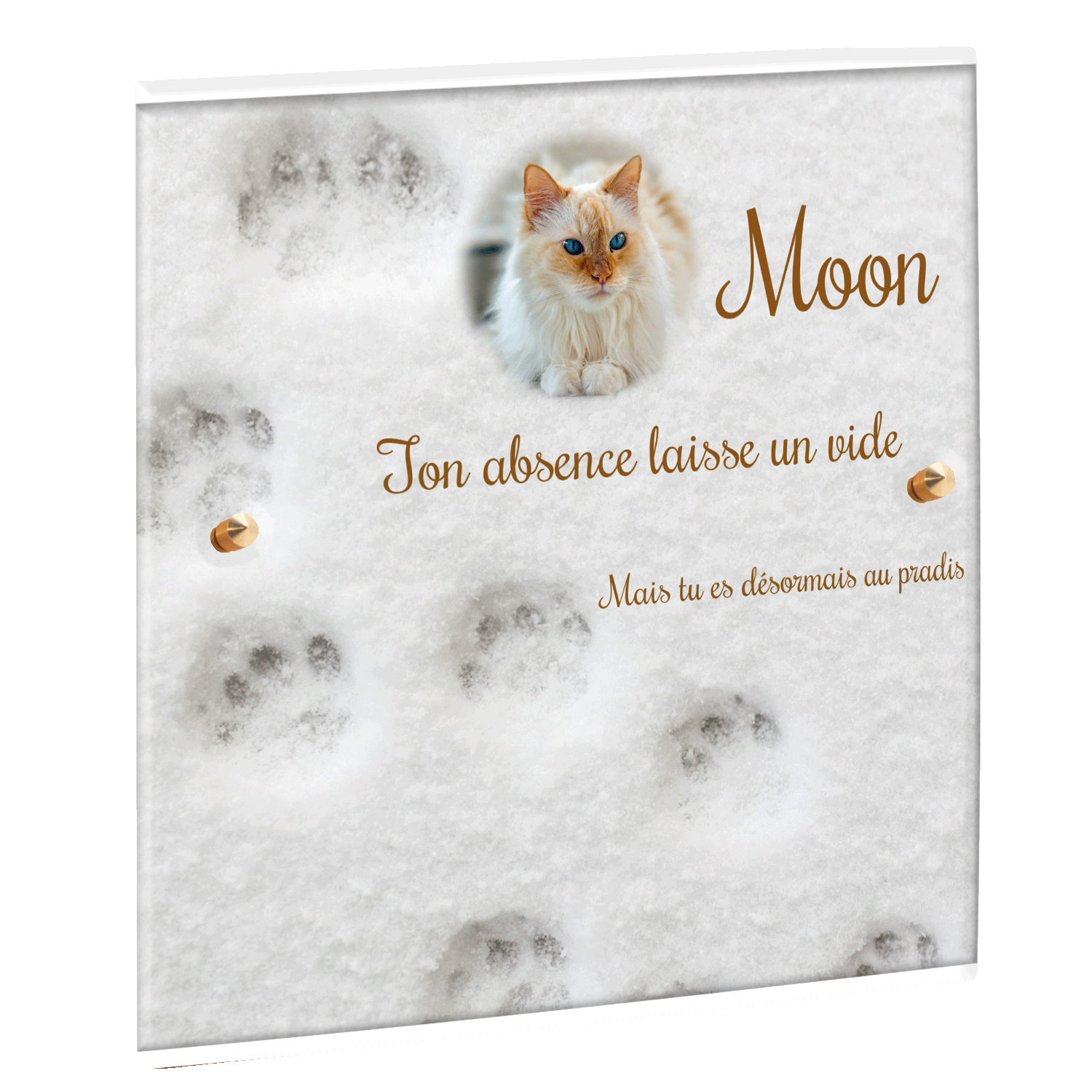 Plaque funéraire - Empreintes de chat dans la neige