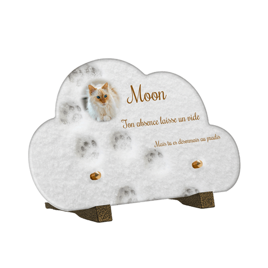 Plaque funéraire - Empreintes de chat dans la neige