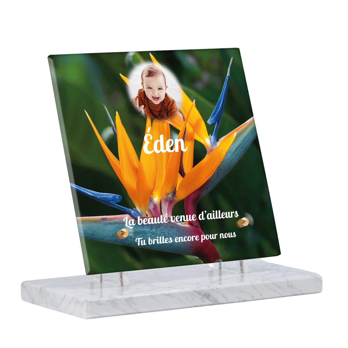 Plaque funéraire - Fleur du Paradis orange et  bleue