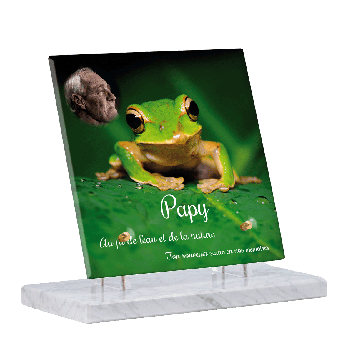 Plaque funéraire - Grenouille