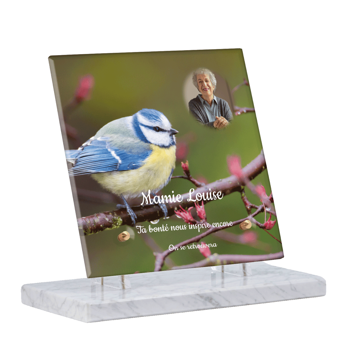 Plaque funéraire - Mésange Bleue