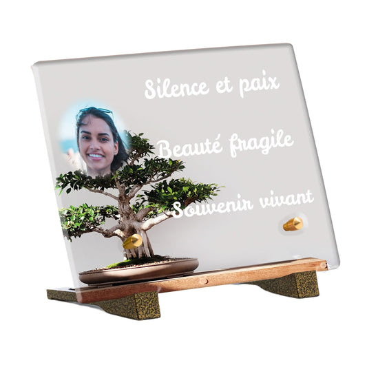 Plaque Funéraire - Bonsaï