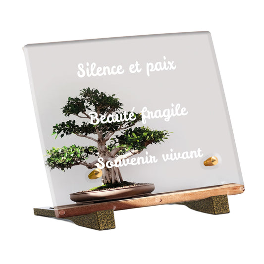 Plaque Funéraire - Bonsaï
