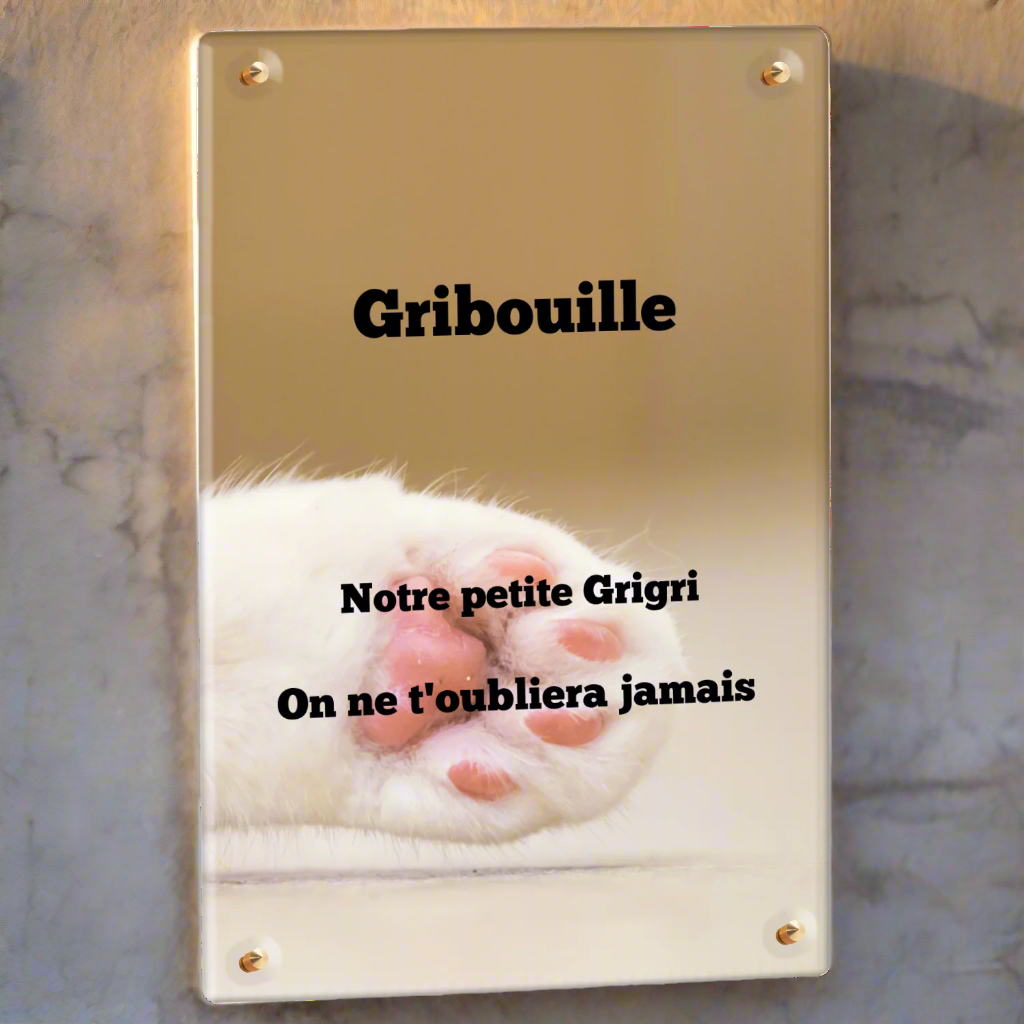 Plaque funéraire plexiglass patte de chat